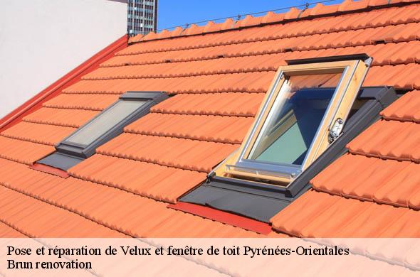 Pose et réparation de Velux et fenêtre de toit 66 Pyrénées-Orientales  Brun renovation