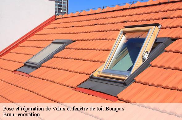 Pose et réparation de Velux et fenêtre de toit  bompas-66430 Brun renovation