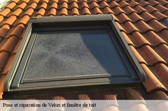 Pose et réparation de Velux et fenêtre de toit  casefabre-66130 Brun renovation