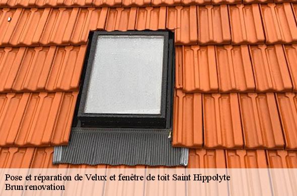 Pose et réparation de Velux et fenêtre de toit  saint-hippolyte-66510 Brun renovation