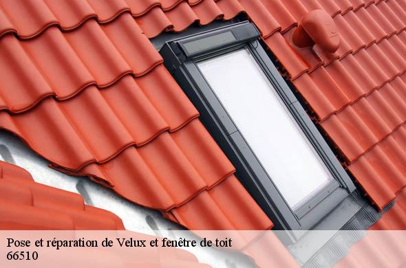 Pose et réparation de Velux et fenêtre de toit  saint-hippolyte-66510 Brun renovation