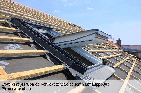 Pose et réparation de Velux et fenêtre de toit  saint-hippolyte-66510 Brun renovation