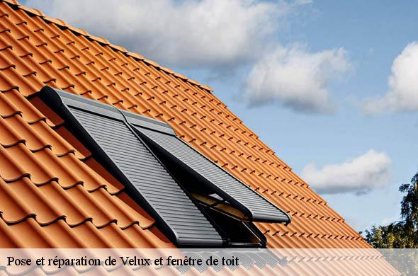 Pose et réparation de Velux et fenêtre de toit  saint-hippolyte-66510 Brun renovation