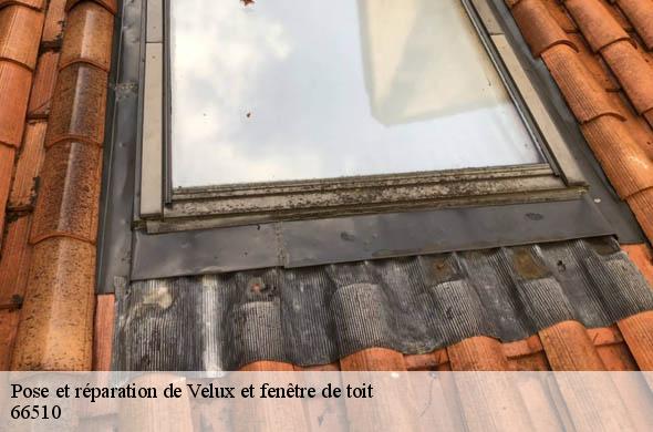 Pose et réparation de Velux et fenêtre de toit  saint-hippolyte-66510 Brun renovation