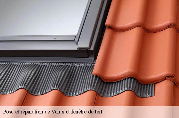 Pose et réparation de Velux et fenêtre de toit  saint-marsal-66110 Brun renovation