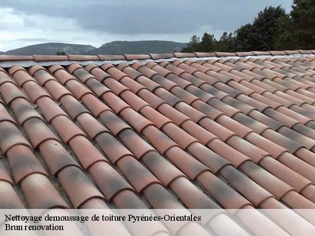 Nettoyage demoussage de toiture 66 Pyrénées-Orientales  Brun renovation