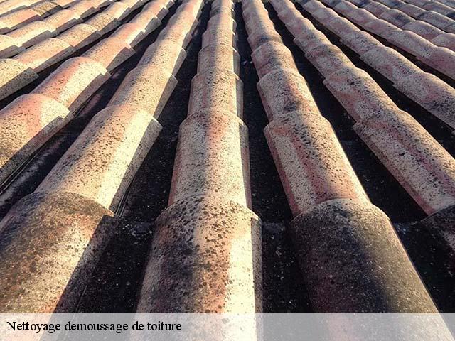 Nettoyage demoussage de toiture 66 Pyrénées-Orientales  Brun renovation