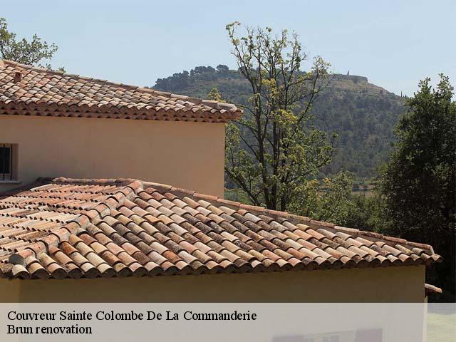 Couvreur  sainte-colombe-de-la-commanderie-66300 Brun renovation