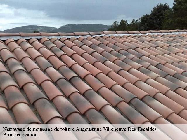 Nettoyage demoussage de toiture  angoustrine-villeneuve-des-escaldes-66760 Brun renovation