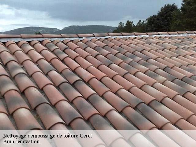 Nettoyage demoussage de toiture  ceret-66400 Brun renovation