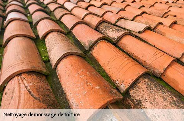 Nettoyage demoussage de toiture  peyrestortes-66600 Brun renovation