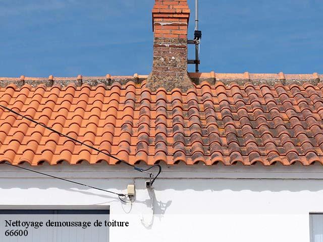 Nettoyage demoussage de toiture  peyrestortes-66600 Brun renovation