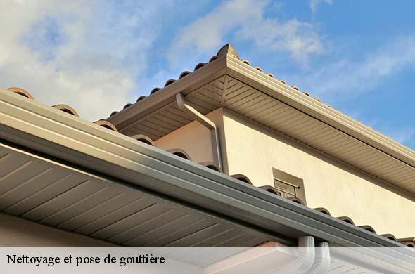 Nettoyage et pose de gouttière  vives-66400 Brun renovation