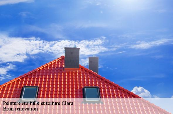 Peinture sur tuile et toiture  clara-66500 Brun renovation