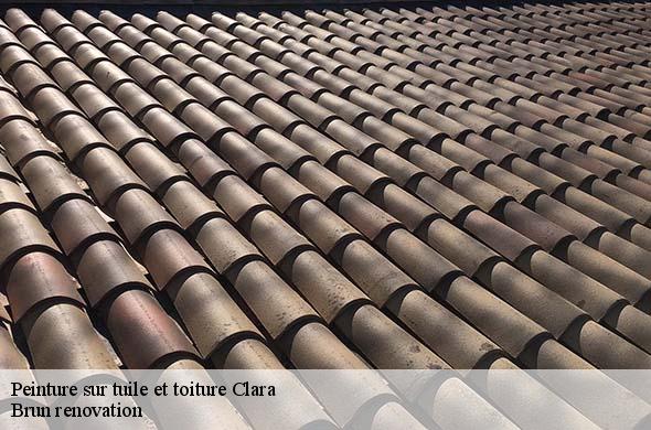 Peinture sur tuile et toiture  clara-66500 Brun renovation