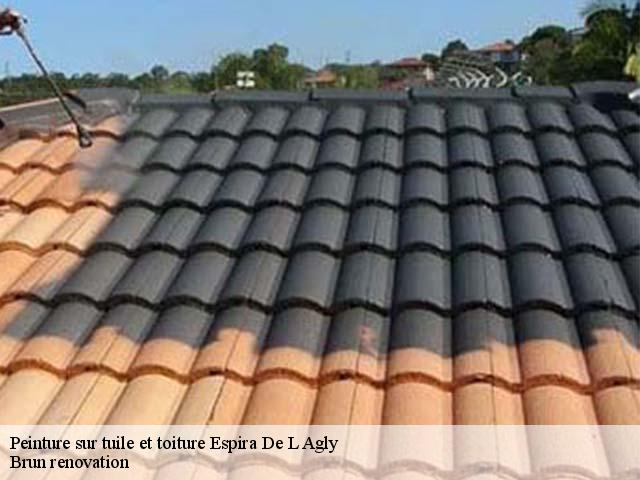 Peinture sur tuile et toiture  espira-de-l-agly-66600 Brun renovation