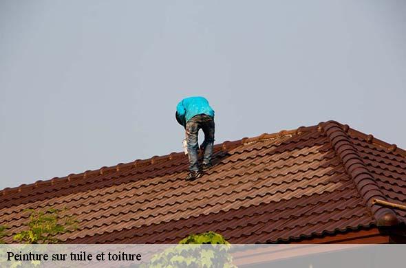 Peinture sur tuile et toiture  llauro-66300 Brun renovation