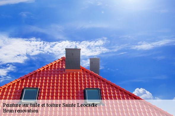 Peinture sur tuile et toiture  sainte-leocadie-66800 Brun renovation