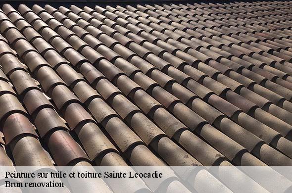 Peinture sur tuile et toiture  sainte-leocadie-66800 Brun renovation