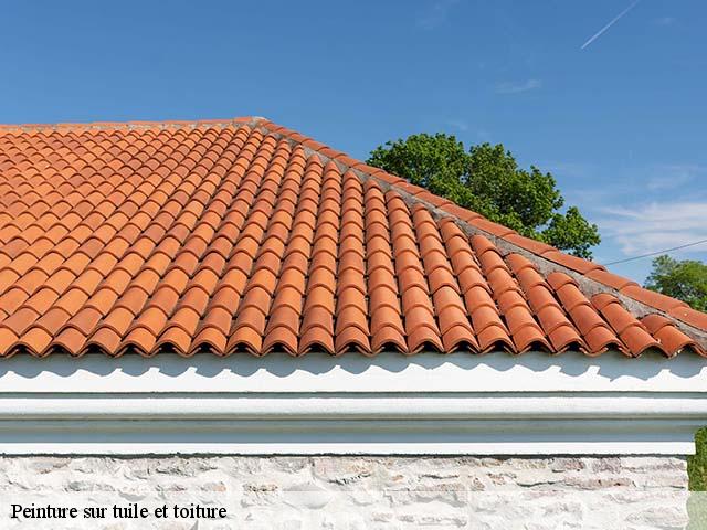 Peinture sur tuile et toiture  saint-nazaire-66140 Brun renovation