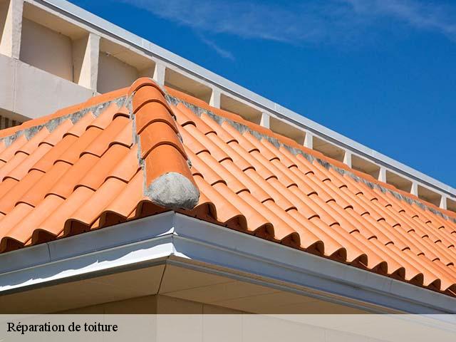 Réparation de toiture  saint-nazaire-66140 Brun renovation