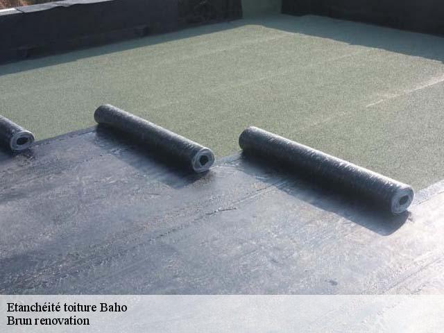 Etanchéité toiture  baho-66540 Brun renovation